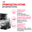Royal Canin Persian Kitten Корм сухой сбалансированный для персидских котят (до 12 месяцев), 10 кг